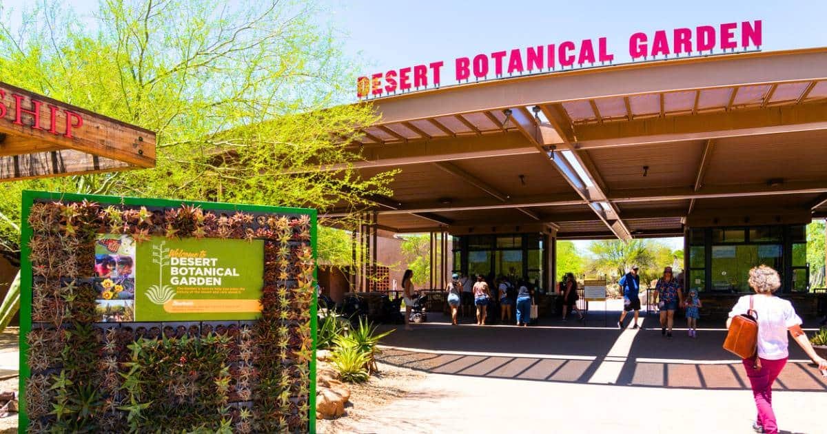Scottsdale has beautiful gardens for an outdoor date spot.