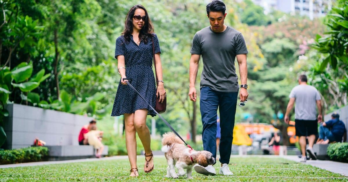 couple on a date walking in park with a dog
